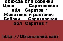 одежда для собачки › Цена ­ 800 - Саратовская обл., Саратов г. Животные и растения » Собаки   . Саратовская обл.,Саратов г.